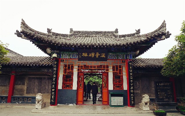 拼多多补单软件