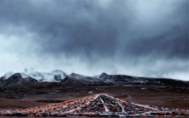 拼多多补单软件