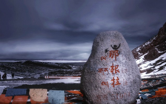 拼多多补单软件